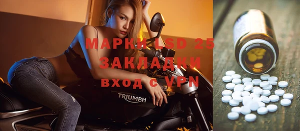 спиды Аркадак