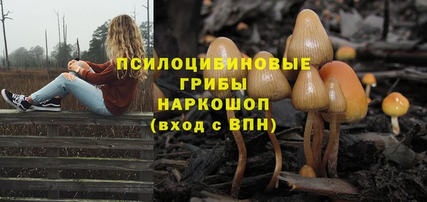 спиды Аркадак