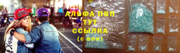 спиды Аркадак